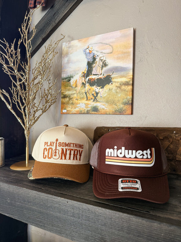 Play Something Country Embroidered Hat - cream/brown